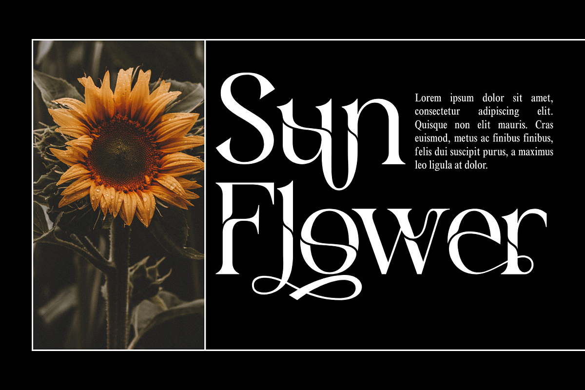 Aesthetic Reflection Elegant Font, a Serif Font by 177Studio (Photo 2 of 8)