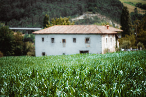 Green Field And Rural Farmhouse, an Industrial Photo by SkyNext