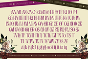 Wrigskan - Luxury Ligature Serif, a Serif Font by Enxyclo Studio (Thumbnail 11 of 15)