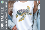 Sea Turtle Illustration Bundle PNG, an Animal Illustration by Enliven Designs (Thumbnail 5 of 8)