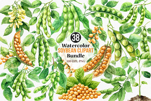 Watercolor Soybean Clipart Bundle, an Illustration by Canvas Craft
