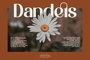Agelia - Eternal Serif, a Serif Font by Pandeka Studio (Thumbnail 5 of 9)