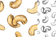 Hard nut graphic design set, a Food Illustration by handsketched (Thumbnail 17 of 18)