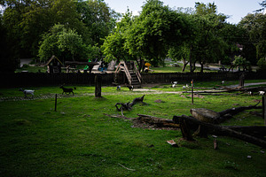 Rustic animal enclosure with playground and wooden fence surrounded by green la, a Photo by AS photostudio