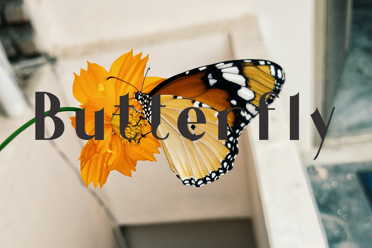 Cluth - Beauty Store Sans, a Sans Serif Font by Sohel Studio (Photo 3 of 15)