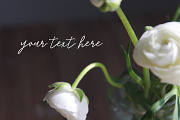 Stock photos, Moody white flower, a Print Template by Angele Kamp (Thumbnail 3 of 6)