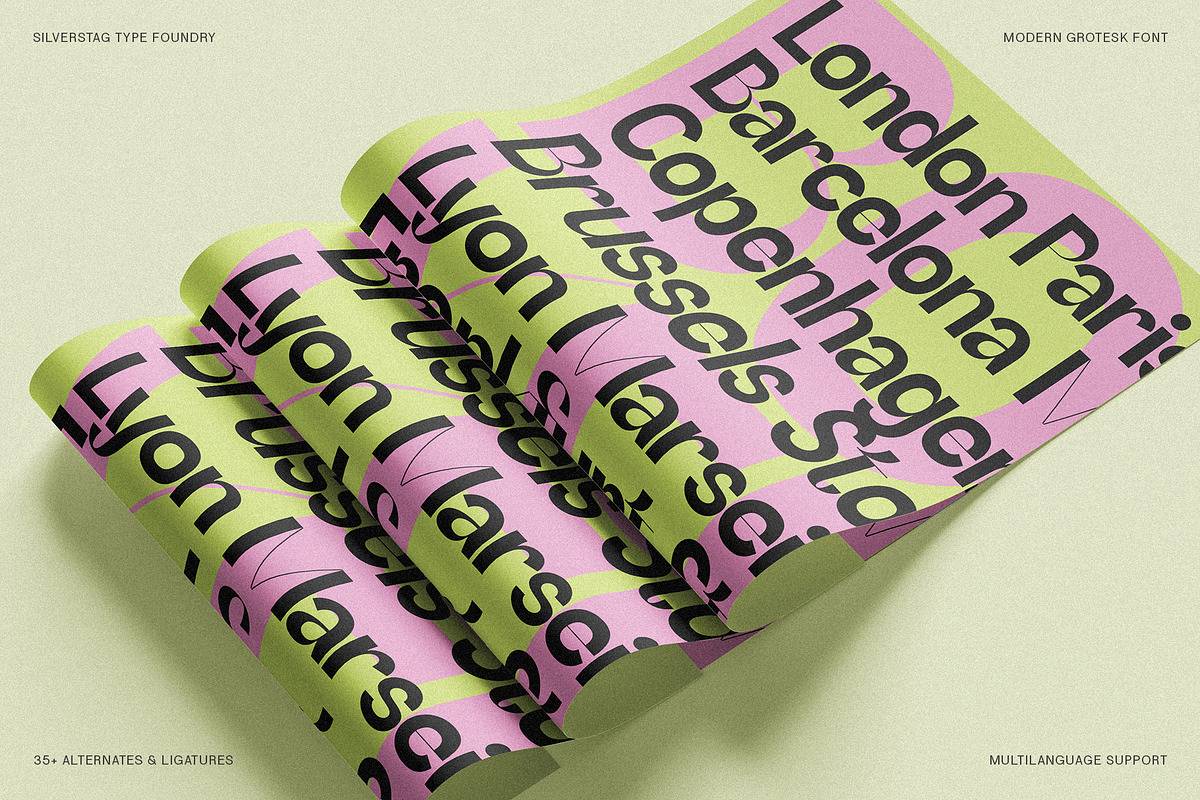 SLTF Refugio - Modern Grotesk Font, a Sans Serif Font by SilverStag Type Foundry (Photo 25 of 30)