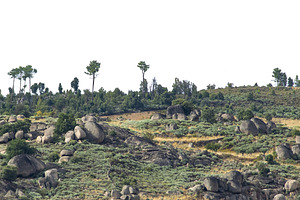 Rocky rural terrain with vegetation