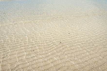 Clear water at the beach on a tropical island,Crystal clear turq, a Nature Photo by Art Rachen