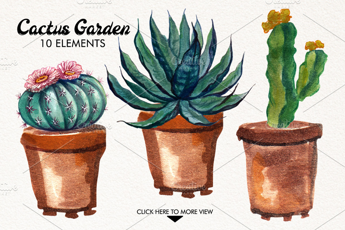Watercolor Cactuses, an Illustration by Graphobia (Photo 3 of 9)