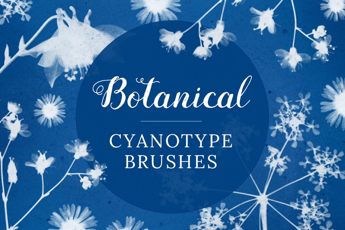 Flower Photoshop brushes, a Brush Add-On by Little Bean (Photo 1 of 8)