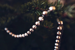 Silver New year garland on fir tree 