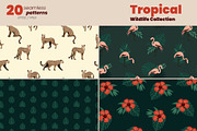 Tropical Wildlife Collection, a Decorative Illustration by moja doodle (Thumbnail 3 of 8)