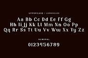 Qotgir Giftest Elegant Vintage Font, a Serif Font by QR Design Studio (Thumbnail 8 of 14)