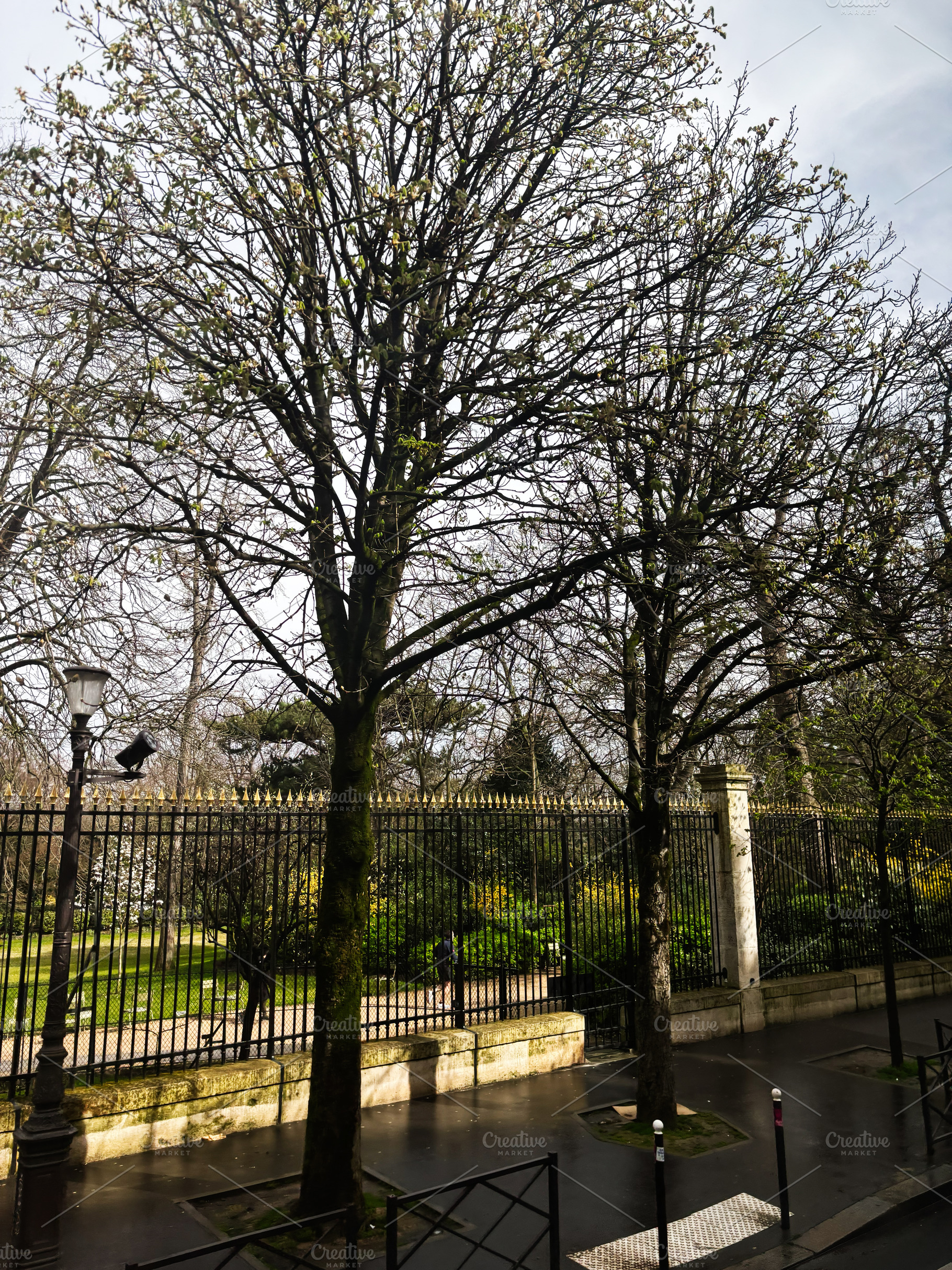 Elegant garden view with trees and wrought iron fence in Paris, France, a Photo by AS photostudio