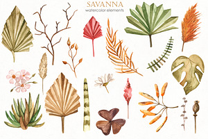 Savanna Dried Flowers Watercolor