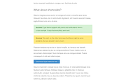 Type Wordpress theme, a WordPress Template by Pixel Revel (Thumbnail 5 of 5)