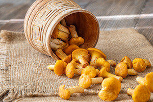 Chanterelle mushrooms, a Food & Drink Photo by Alexander Prokopenko