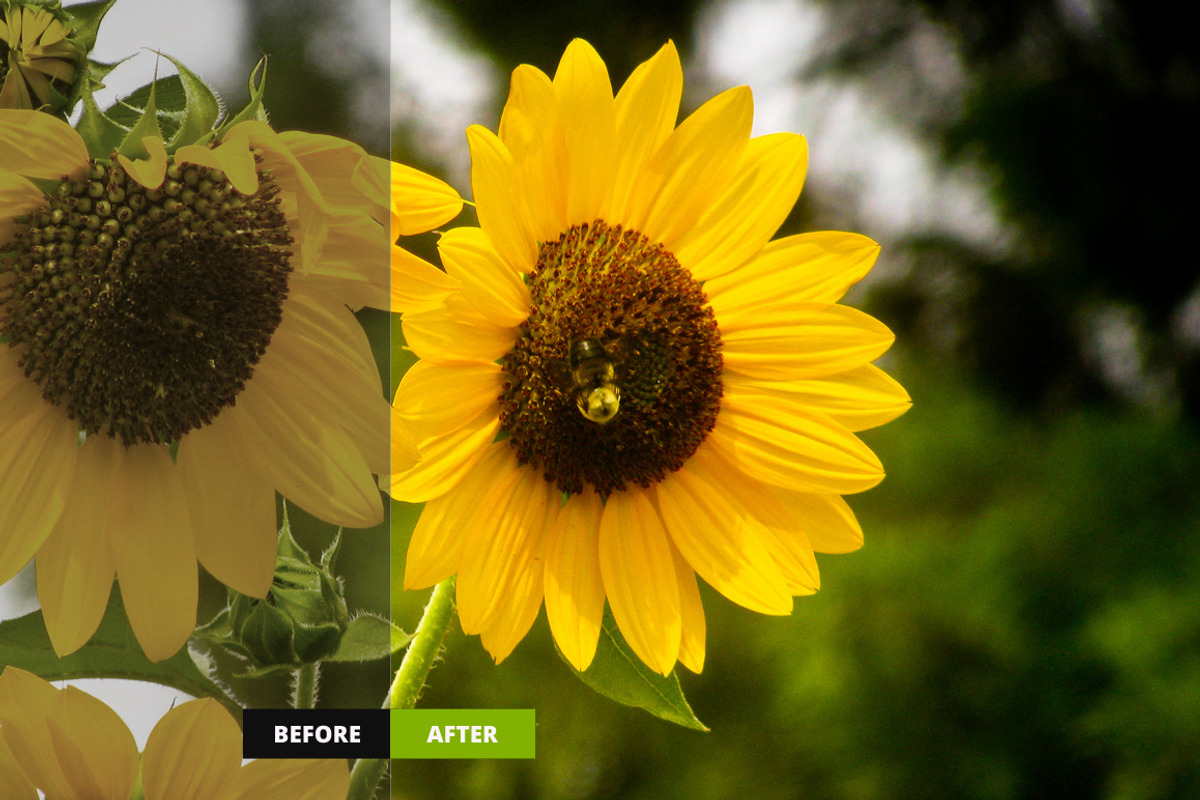 1000+ Lightroom Preset Bundle preview 6