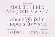 Palgrace Modern Serif Typeface Font, a Serif Font by Vadovastd (Thumbnail 2 of 11)