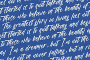 Vichellen Jordan Modern Brush Font, a Script Font by stylishtype.co (Thumbnail 19 of 20)