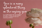 Boldique Script - Lovely Script, a Script Font by Indotype Foundry (Thumbnail 10 of 10)