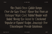 Ferdinos, a Serif Font by Dora Typefoundry (Thumbnail 4 of 14)
