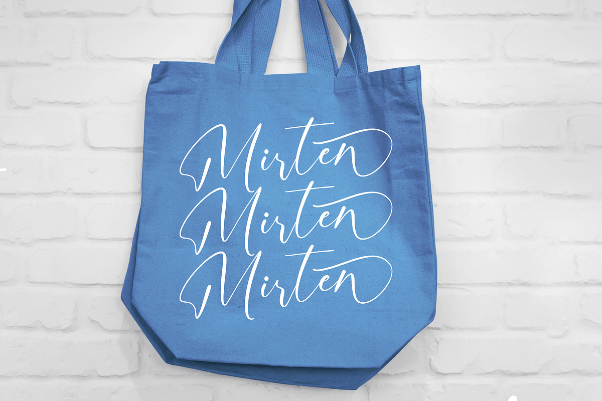 Motion Amusement Modern Signature, a Script Font by Letterena Studios Script (Photo 8 of 15)
