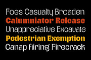 Teenage Wander - Variable Font, a Serif Font by TeenageFoundry (Thumbnail 2 of 12)
