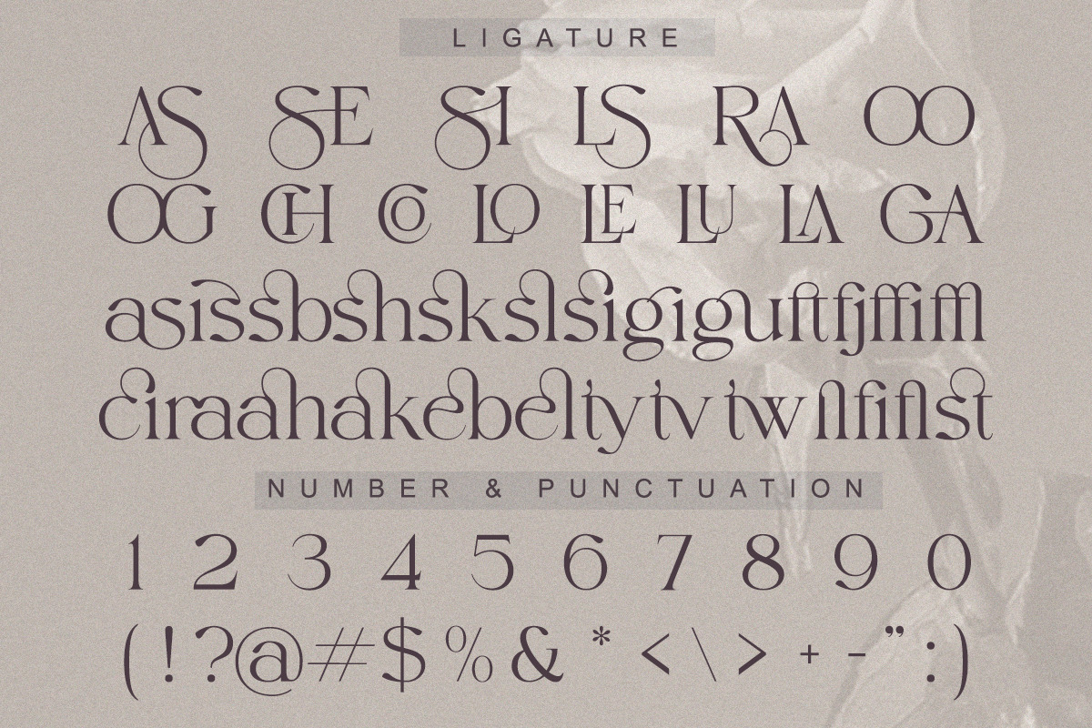 Elaine Dawn - Modern Luxury Serif, a Serif Font by Qweera Studio (Photo 10 of 12)