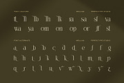 Mellian – Elegant Serif Font, a Serif Font by Perfectype (Thumbnail 8 of 8)