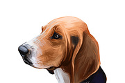 55 Dog Breeds Popular in USA, an Animal Illustration by Dneprstock (Thumbnail 3 of 14)