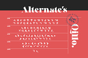 Qillo - Contrast Bold Serif, a Serif Font by Type and Co. (Thumbnail 17 of 20)