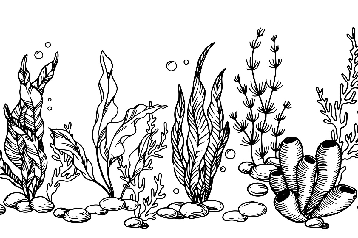 Underwater life. Hand drawn sketch, a Food Illustration by made by Tanya (Photo 3 of 4)