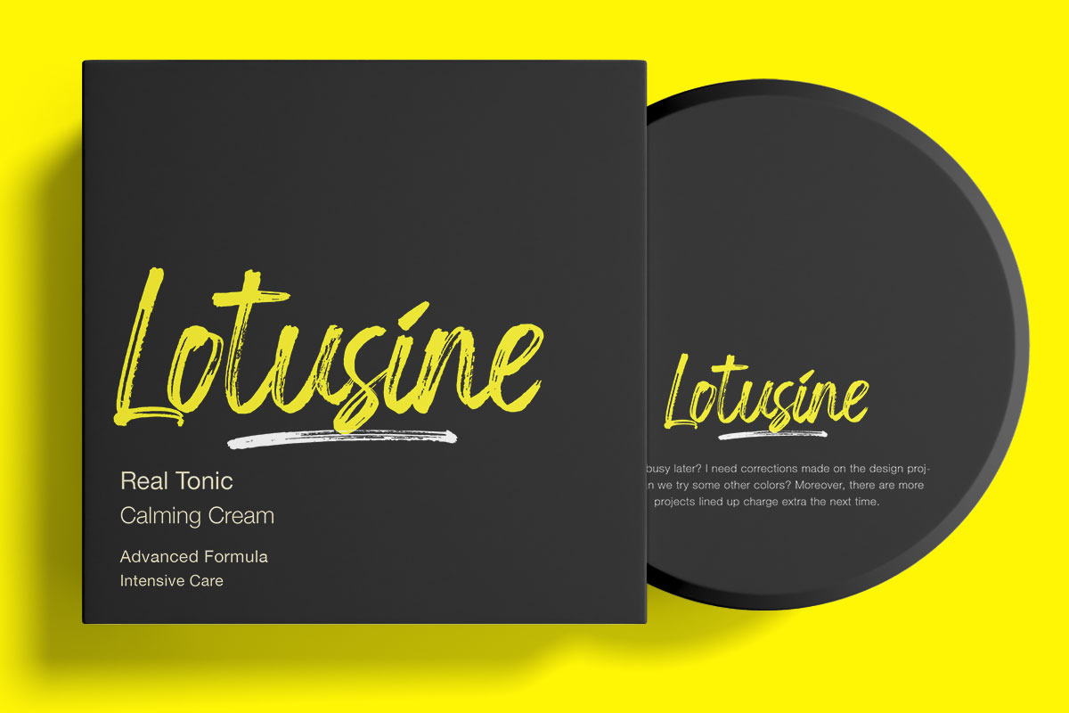 Sunderlight, a Handwritten Font by Lucky Type (Photo 10 of 13)
