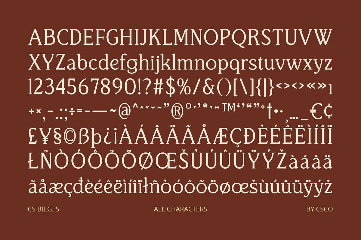 CS Bilges – Classic Font, a Serif Font by Craft Supply Co. (Photo 8 of 8)