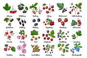 Vector food: vegetables and fruits, a Food Illustration by irina.vaneeva (Thumbnail 2 of 16)
