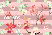 Tropical Orchids, a Pattern Graphic by Svetlana Kononova (Thumbnail 2 of 5)
