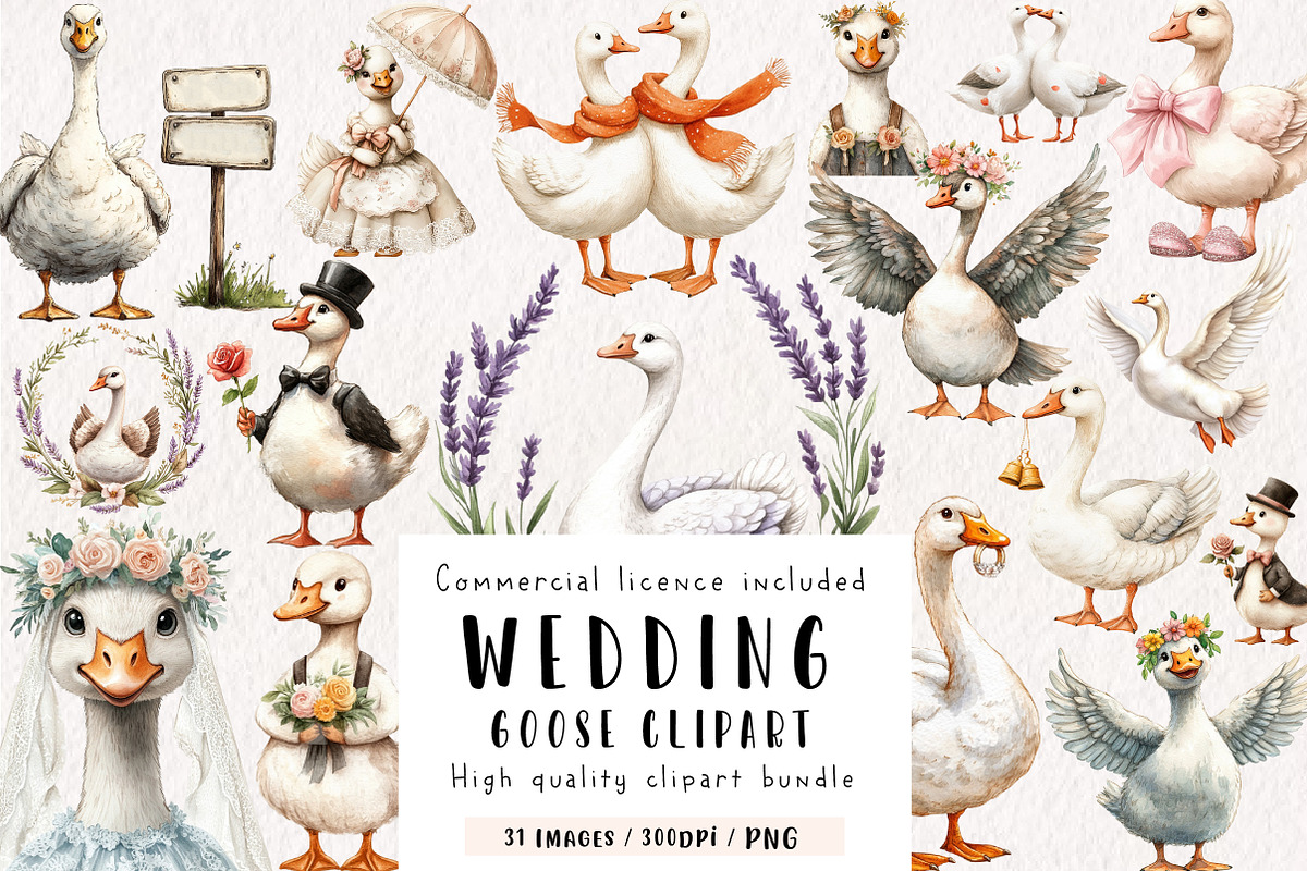 Wedding Goose Clipart, an Illustration by CreationArt (Photo 1 of 9)