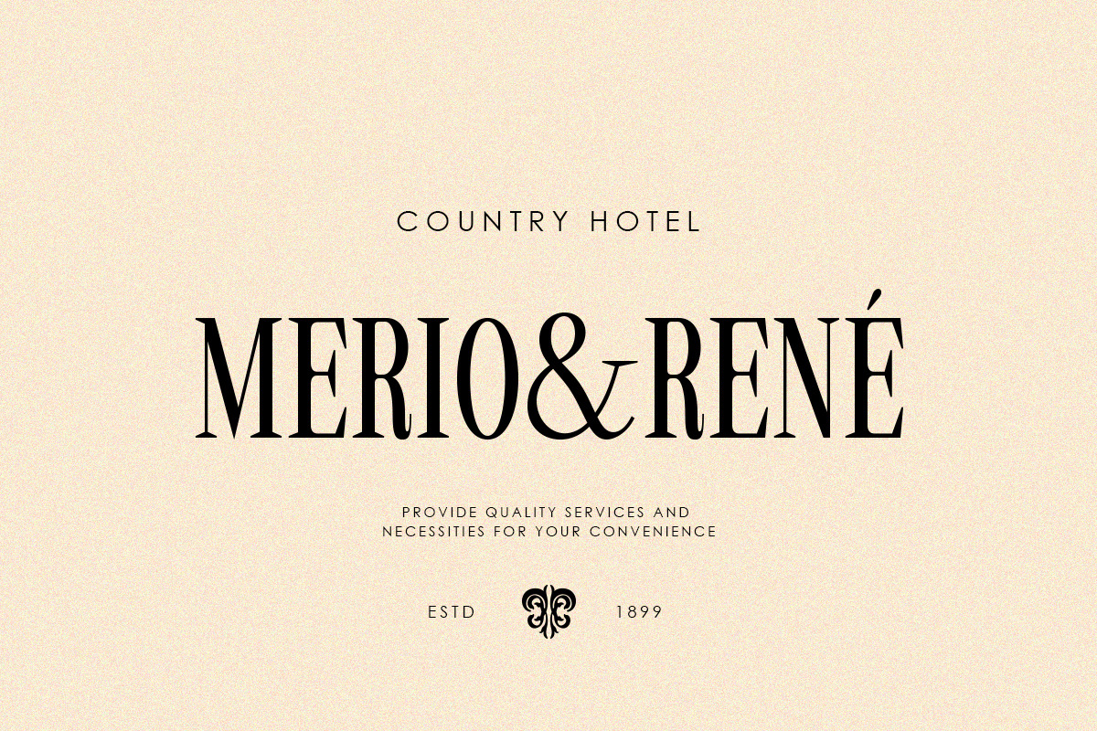 Mallone | 12 Fonts, a Serif Font by Skinny Type (Photo 2 of 10)