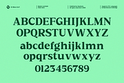 GC Milano – Strong Serif Elegance, a Serif Font by Glyphonic (Thumbnail 2 of 15)
