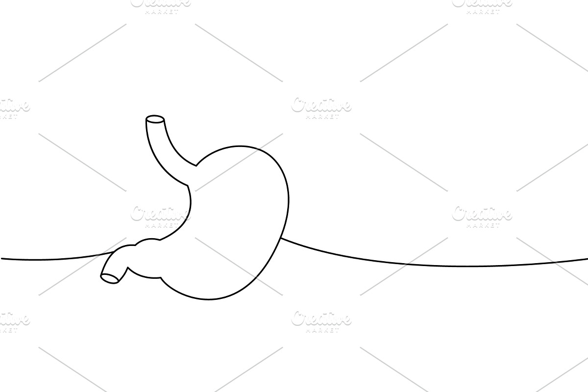 Stomach one line continuous drawing, a Healthcare Illustration by GraphiShop