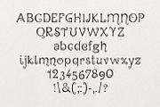 Hegran, a Script Font by Digital Typeface Studio (Thumbnail 2 of 6)