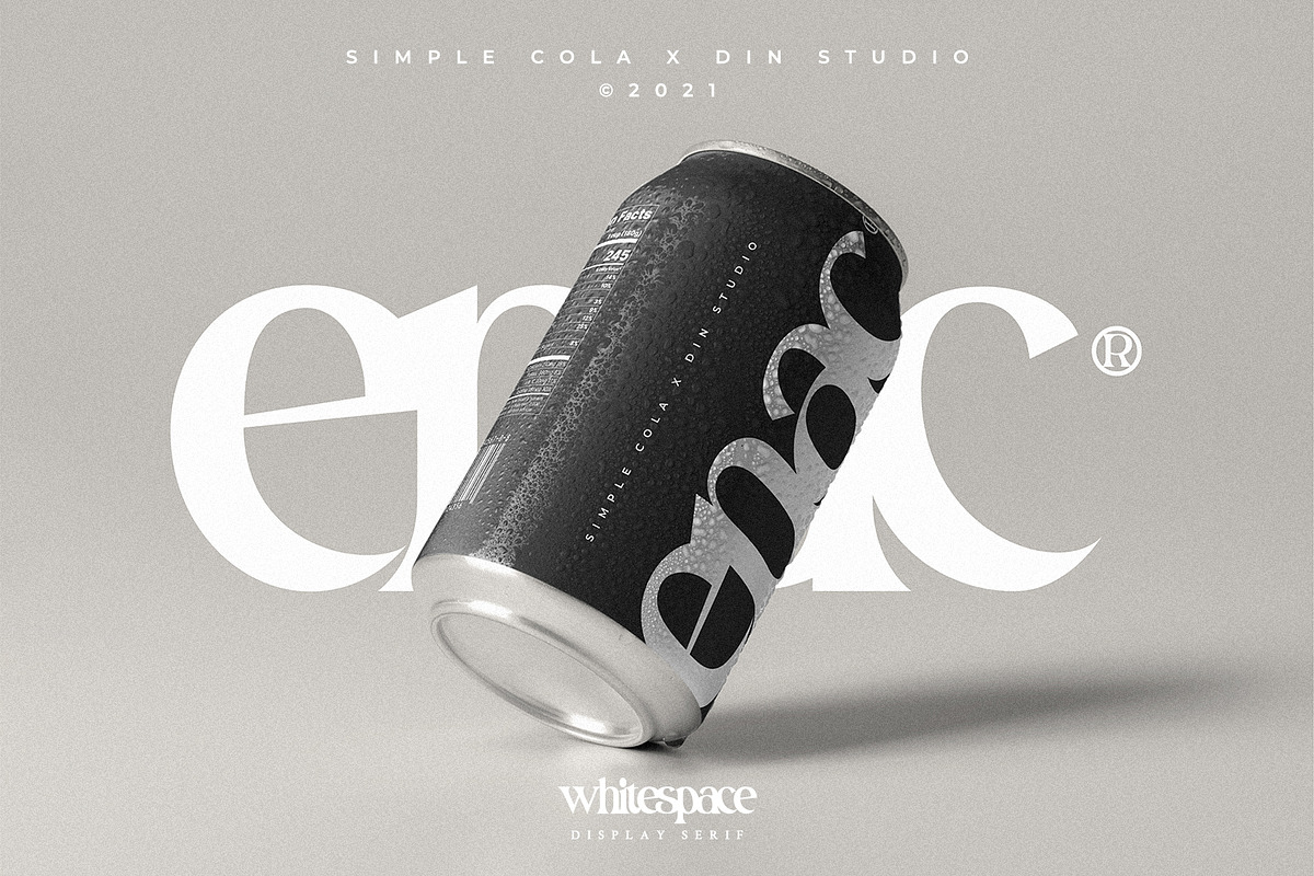 White Space, a Script Font by din-studio.com (Photo 8 of 10)