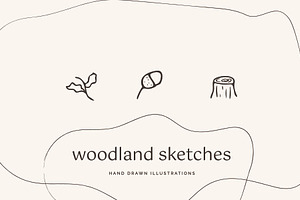 Woodland Icons Illustrations Forest