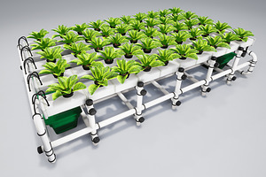 Hydroponics System S