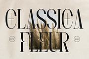 Lequano | New Display Serif, a Serif Font by gracetype_studio (Thumbnail 2 of 12)