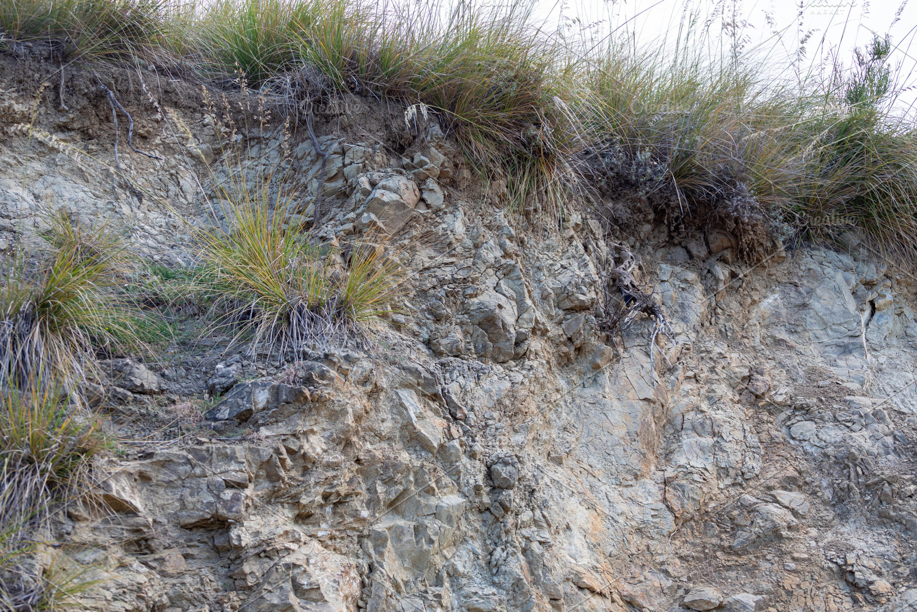 Unstable cliff face with grass growing on top and risk of landslide, a Nature Photo by Antonio Gravante Market