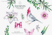 Birds in Bloom Watercolor Floral set, an Animal Illustration by SashaKondr (Thumbnail 16 of 17)