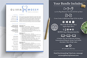 Hygienist Dental Dentist Resume CV, a Resume Template by The Art of Resume (Thumbnail 2 of 8)